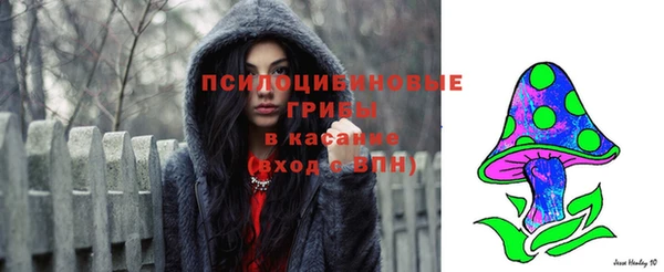 прущий лед Карпинск