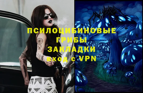 прущий лед Карпинск