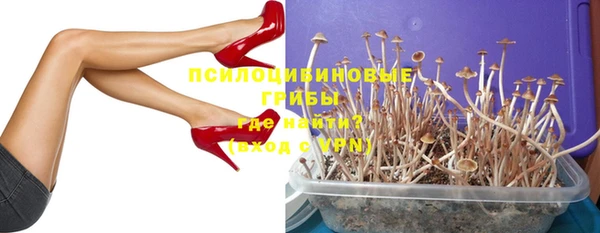 соль курить ск Касимов