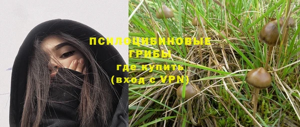 прущий лед Карпинск