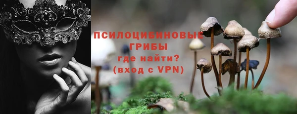 соль курить ск Касимов