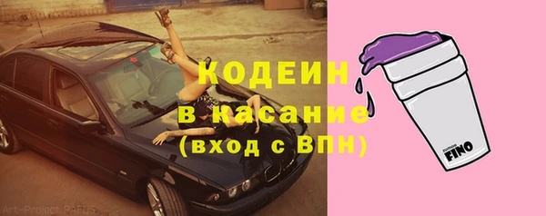 прущий лед Карпинск