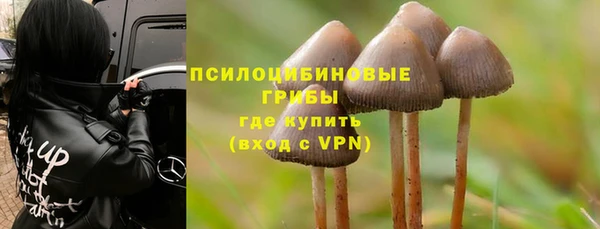 соль курить ск Касимов