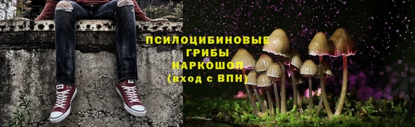 соль курить ск Касимов