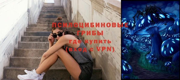 прущий лед Карпинск