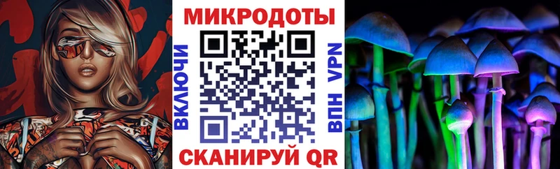 Галлюциногенные грибы Psilocybe  Купить  Канаш 